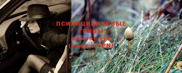 молекула духа Баксан